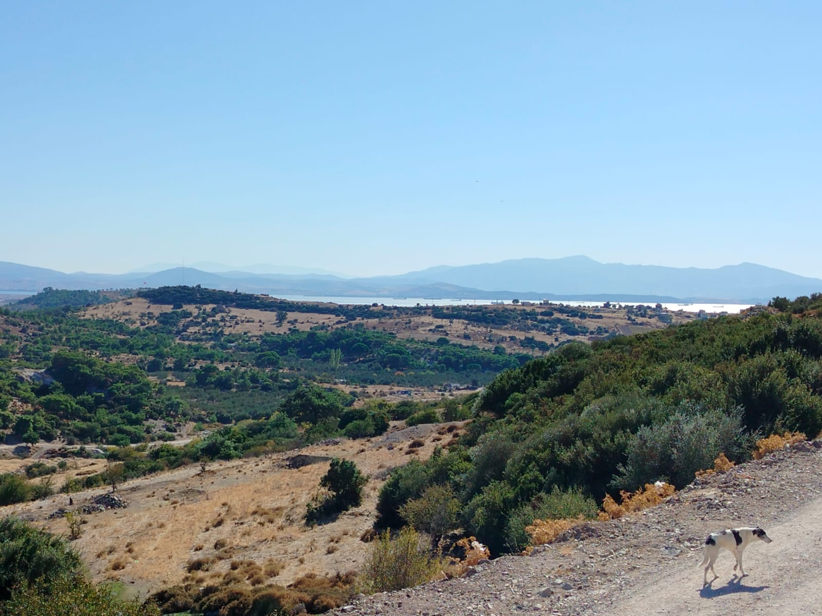 Çınar İzmir'den Dikili Çandarlı'da Satılık 4+1 Tripleks Villa - 4